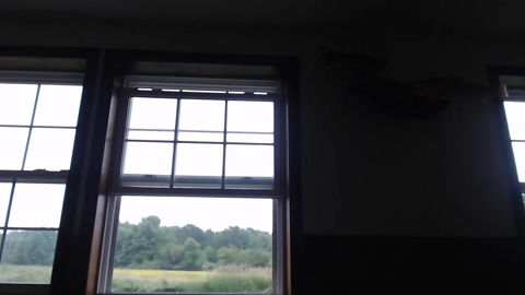 lancehardin  07-06-2022